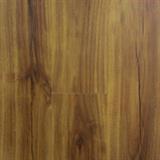 06 Blonde Acacia